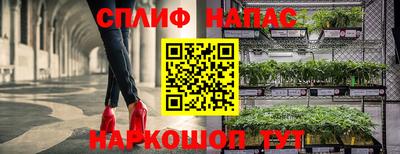 стафф Заволжье