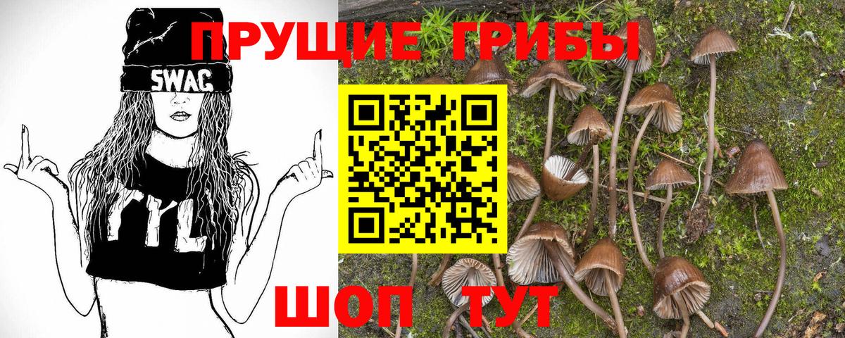 Галлюциногенные грибы MAGIC MUSHROOMS  Вход с VPN  Красный Сулин  Псилоцибиновые грибы Magic Shrooms 