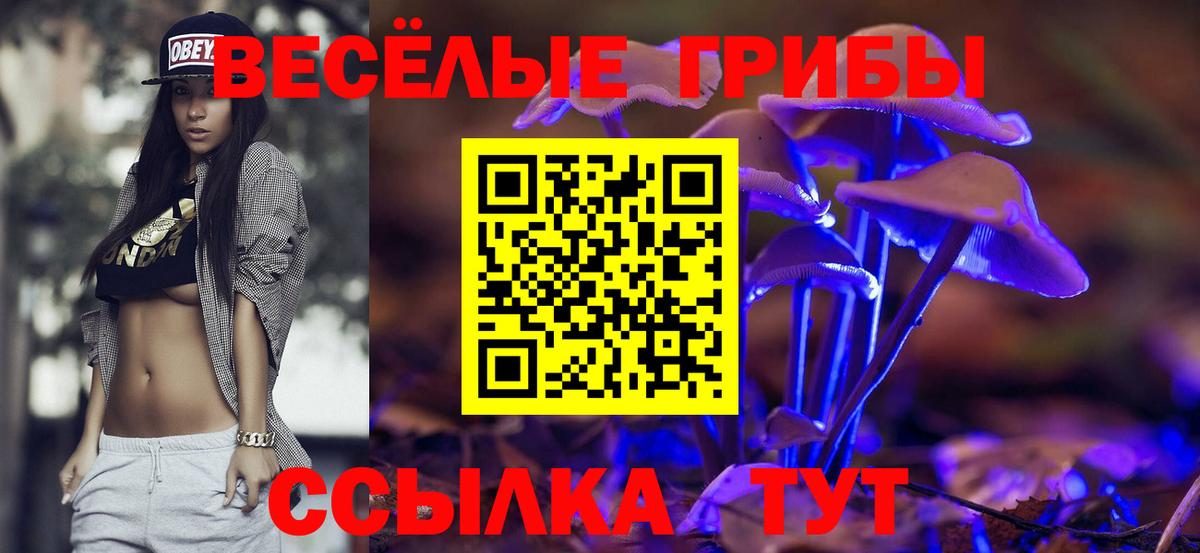 Галлюциногенные грибы Cubensis Красный Сулин